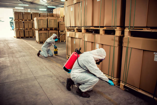 Professional Pest Control in Luckey, OH