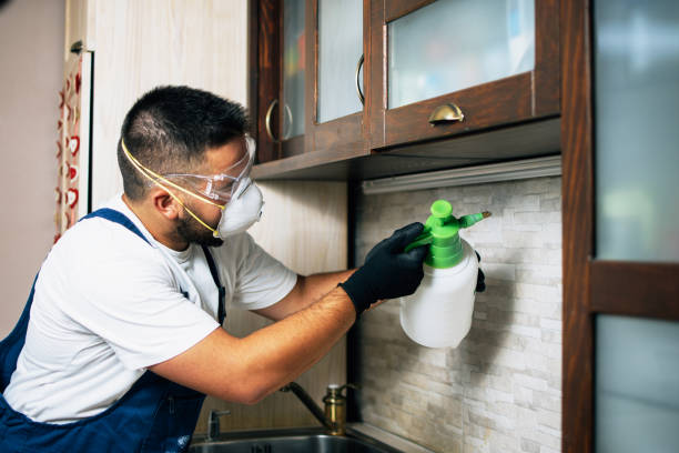 Best Commercial Pest Control Services  in Luckey, OH