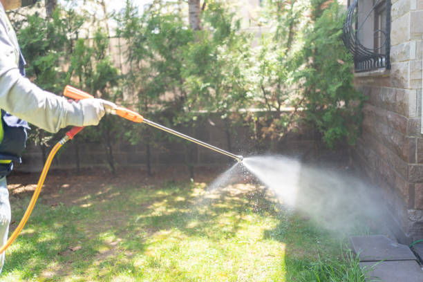 Best Pest Prevention Services  in Luckey, OH
