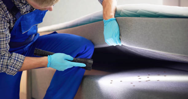 Best Pest Removal Services  in Luckey, OH