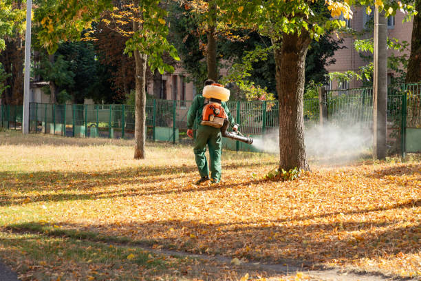 Best Pest Inspection Near Me  in Luckey, OH