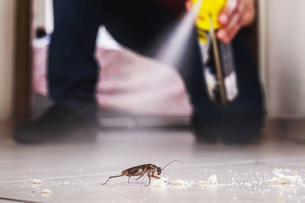 Best Pest Inspection Near Me  in Luckey, OH