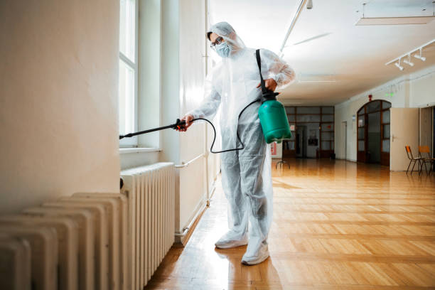 Best Best Pest Control Companies  in Luckey, OH