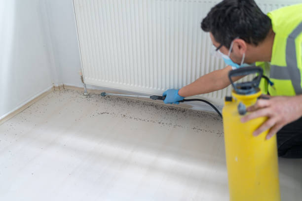 Pest Prevention Services in Luckey, OH