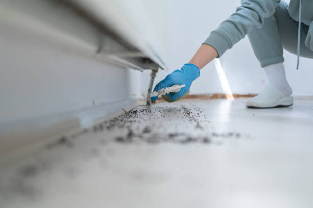 Best Exterminator Services  in Luckey, OH